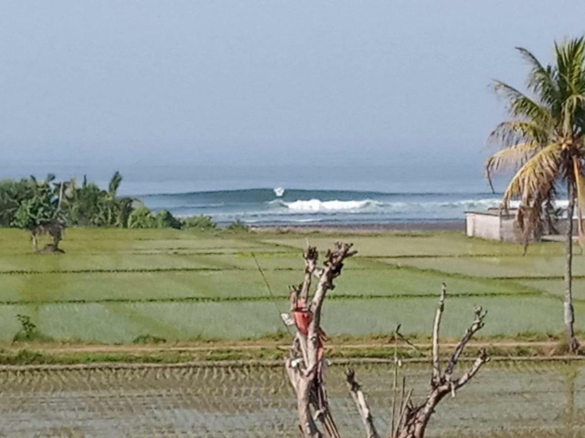 Harris Surf Villa 普卢坎 外观 照片